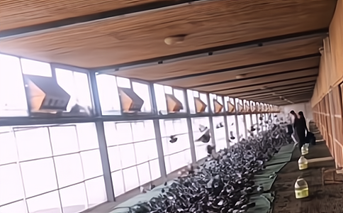 �����ճ��B(y��ng)ֳ��������ِӲ���O(sh��)���B